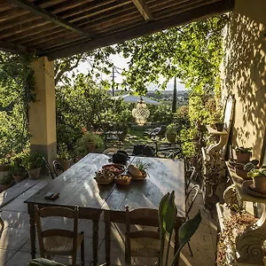  Bed & Breakfast Panicucci